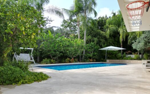 Architect-Designed Home on a 585 m²